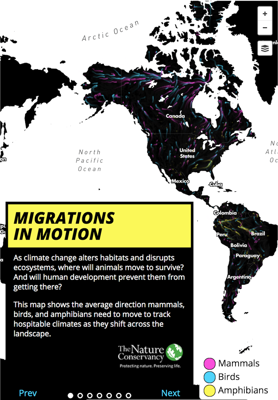 migration-in-motion